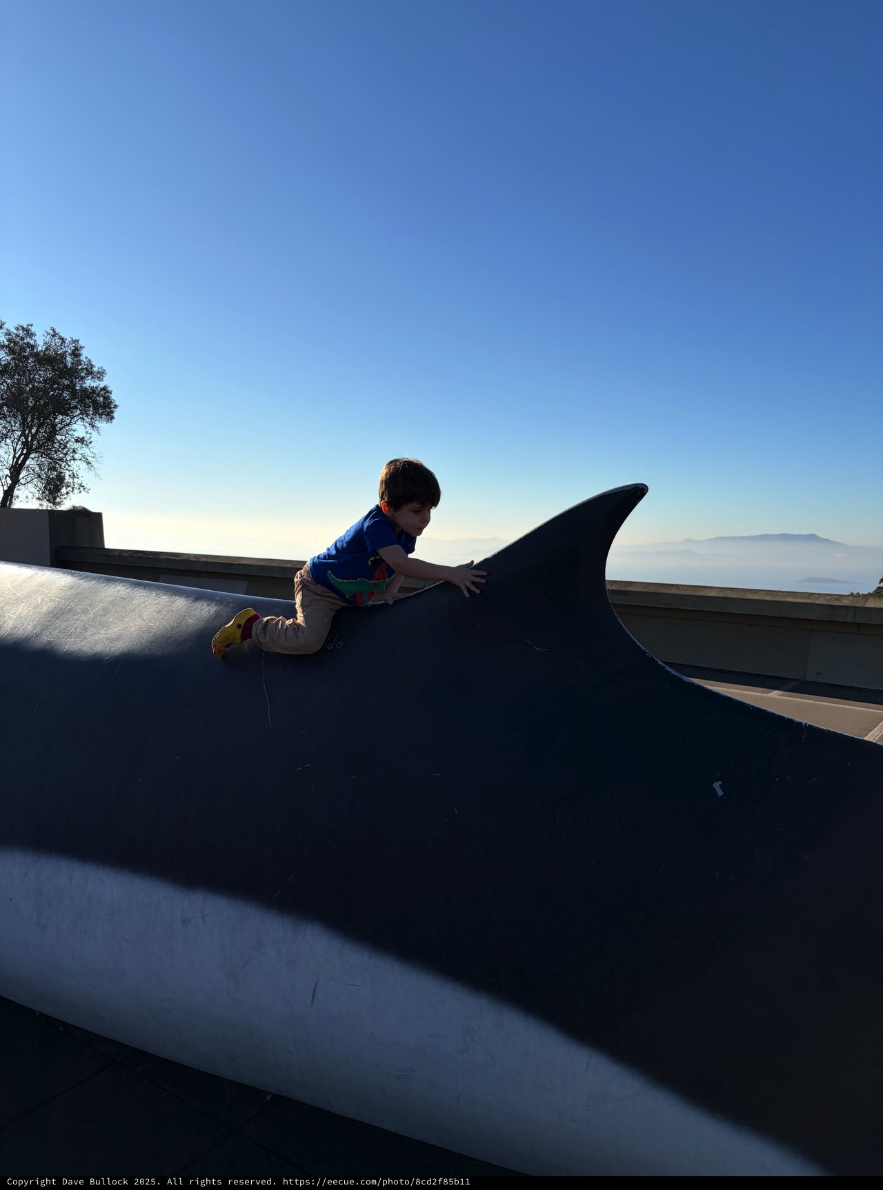Young Boy Climbing on Whale Sculpture at Sunset