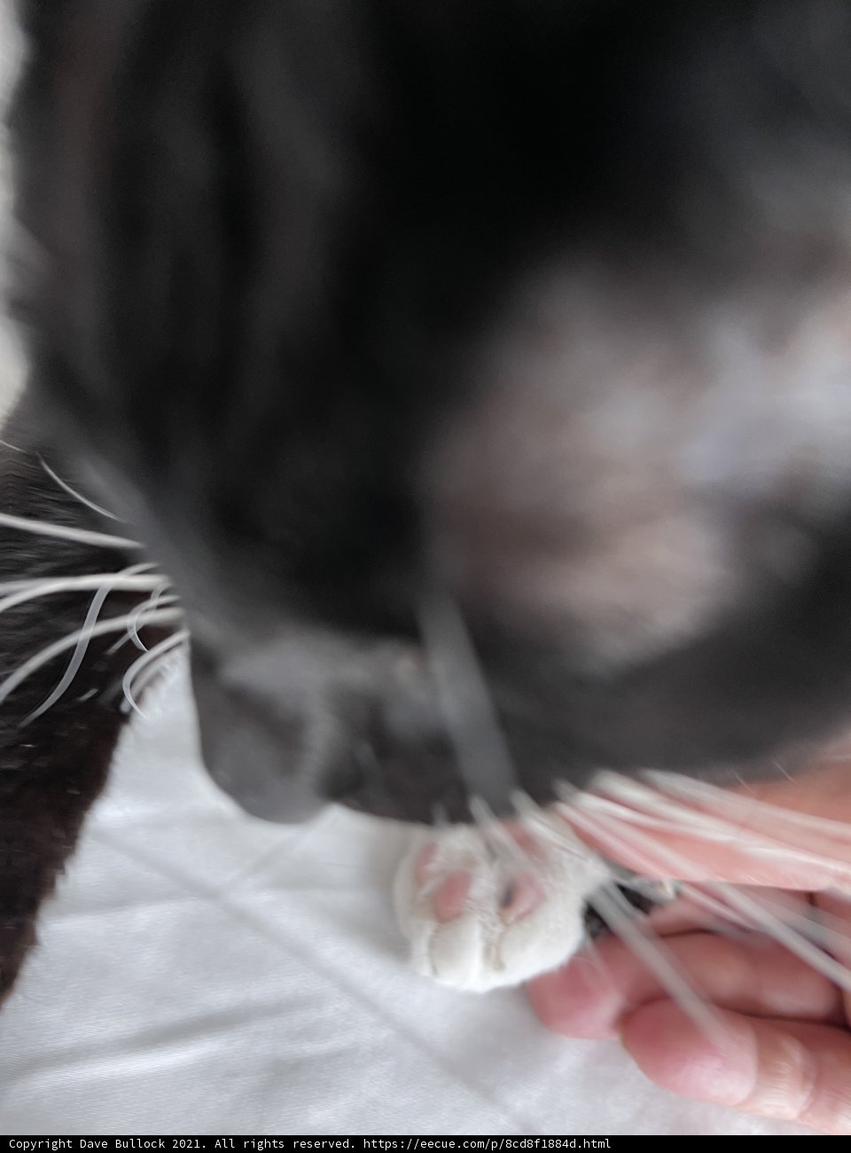 Gentle Touch