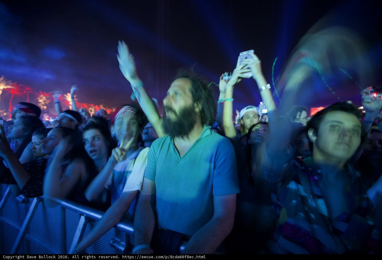 Electric Crowd at Coachella
