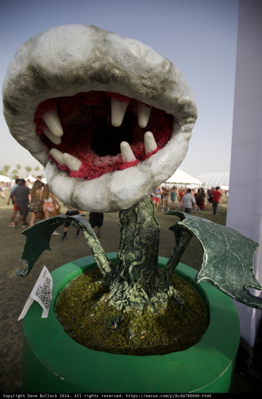 The Plant With Teeth