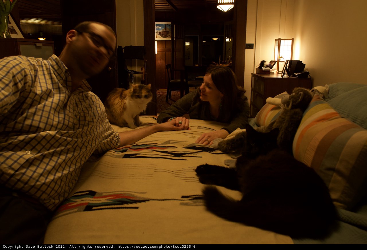 Couple and Cats Relaxing on Bed at Home