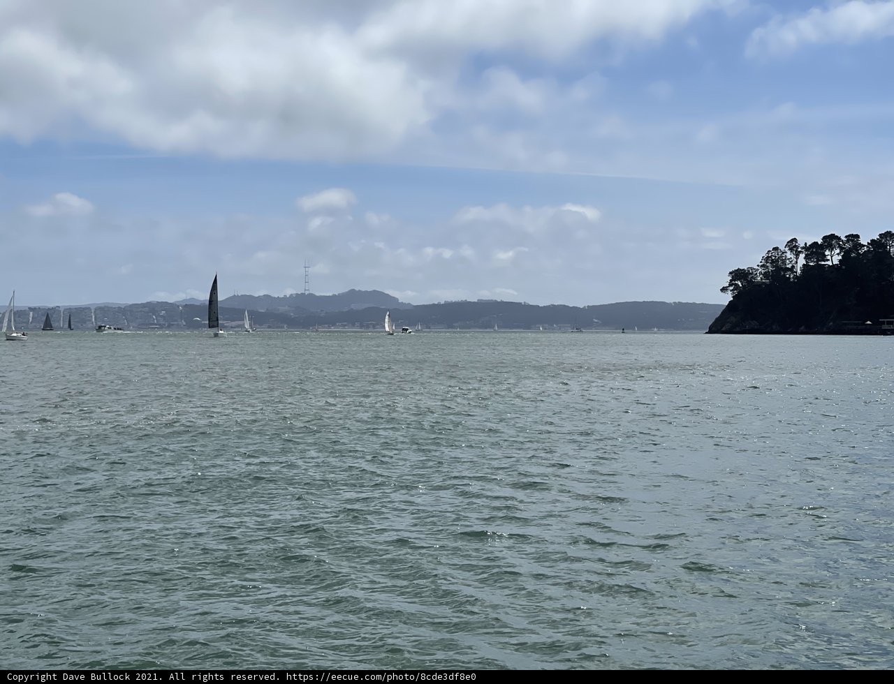A Picturesque View of the Bay from the Top of Belvedere Hill
