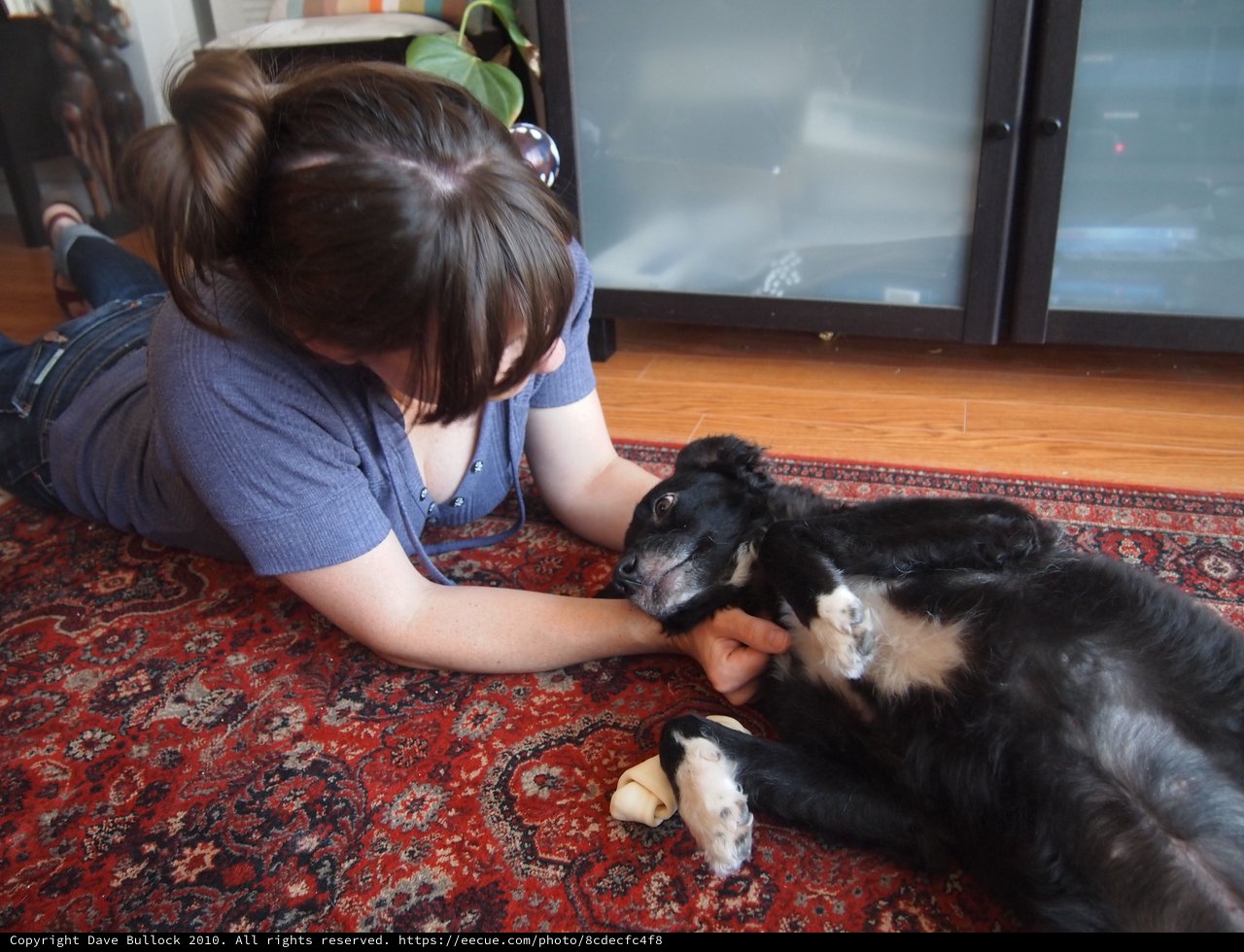 Woman Bonding with Black Dog Over Rawhide Treat