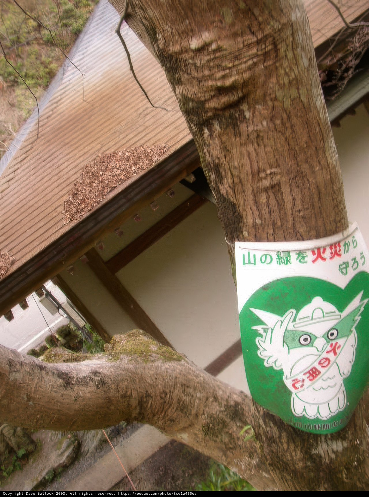 Tree Sign with Adorable Bear