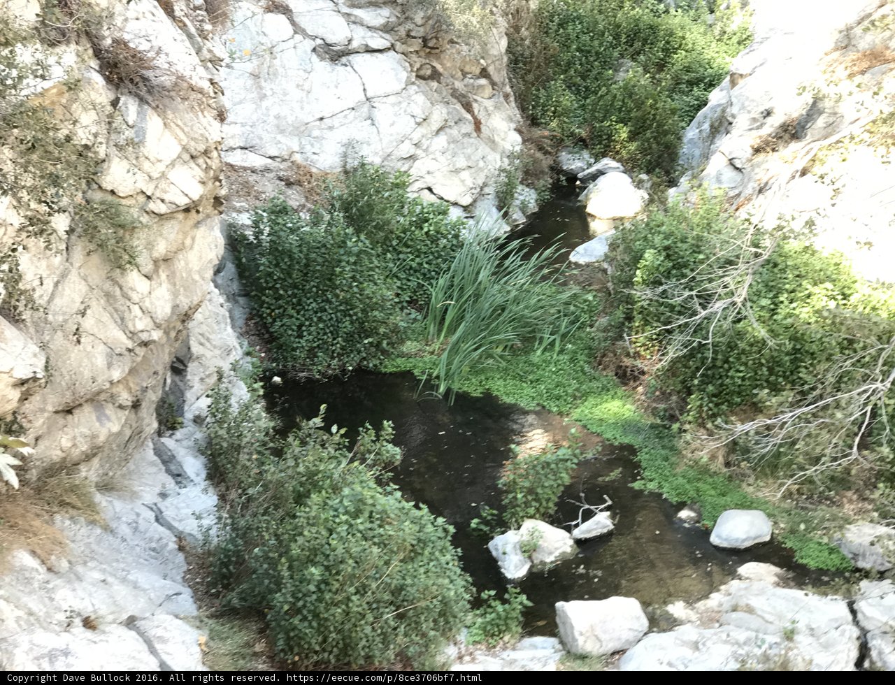 Serene Stream in Rocky Canyon