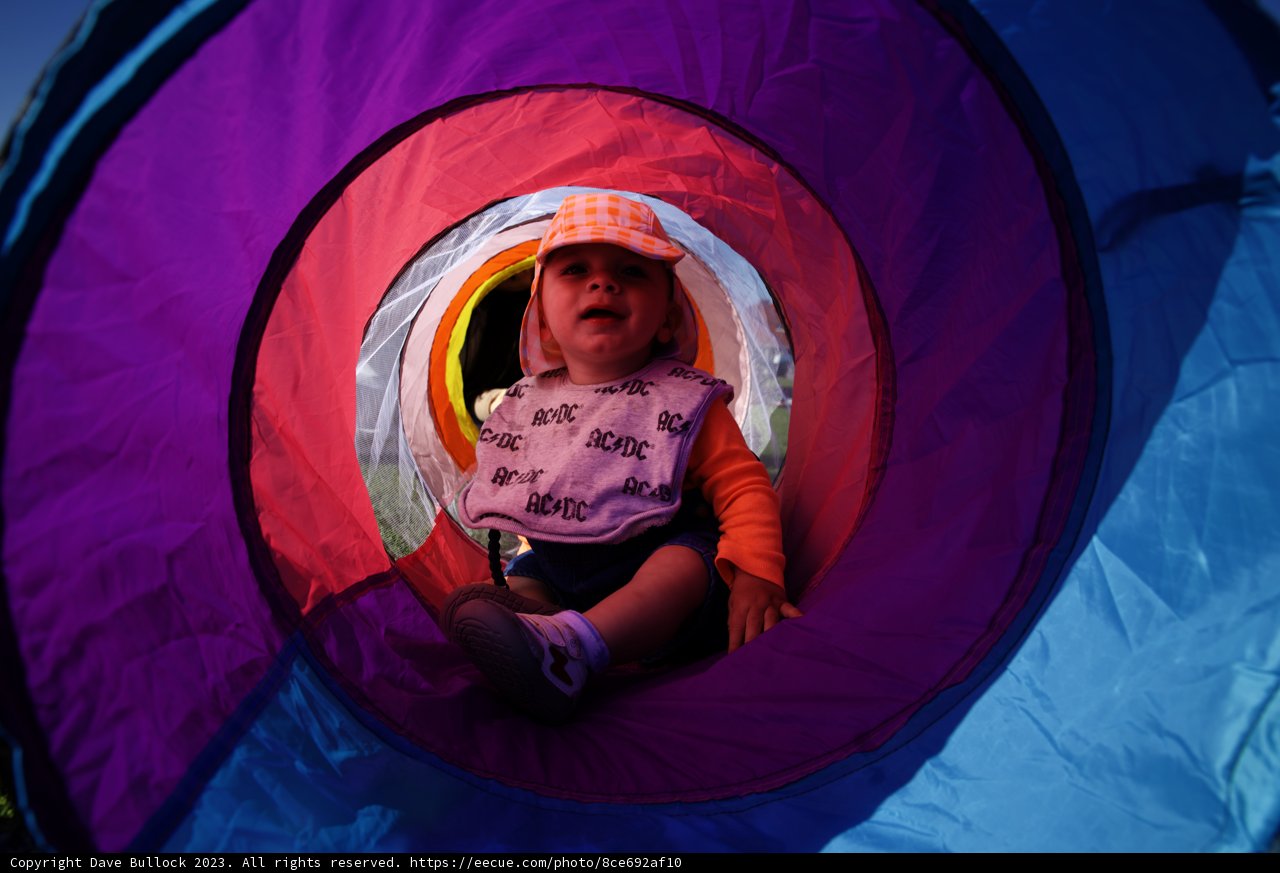 Baby's Colorful Adventure
