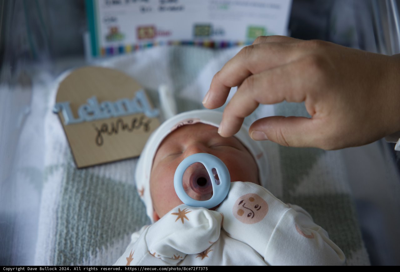Welcome to the World, Leland James