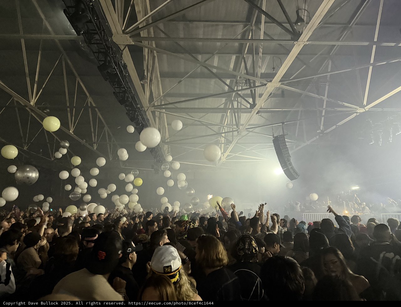 Skrillex Concert with Floating Balloons and Massive Crowd