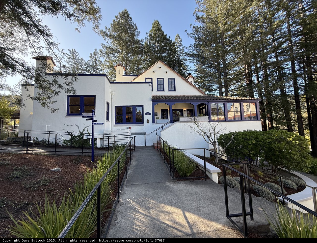 Enchanting Abode Amongst the Redwoods