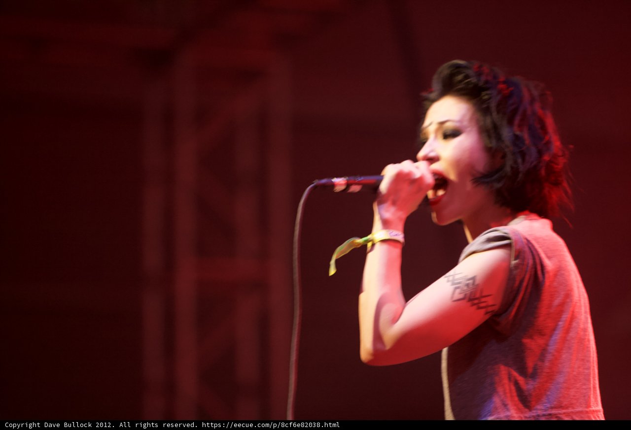 Tattooed Songstress