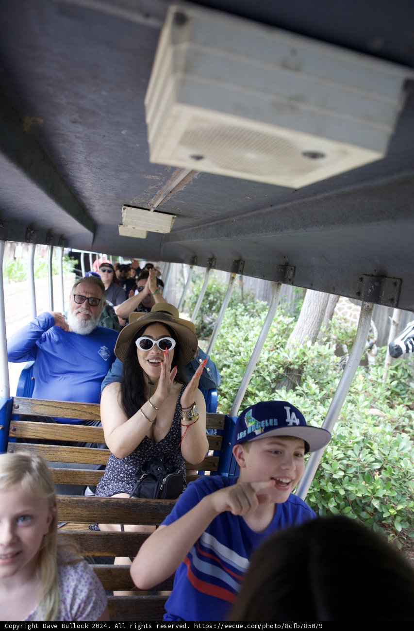 Joyful Celebrations on Wheels
