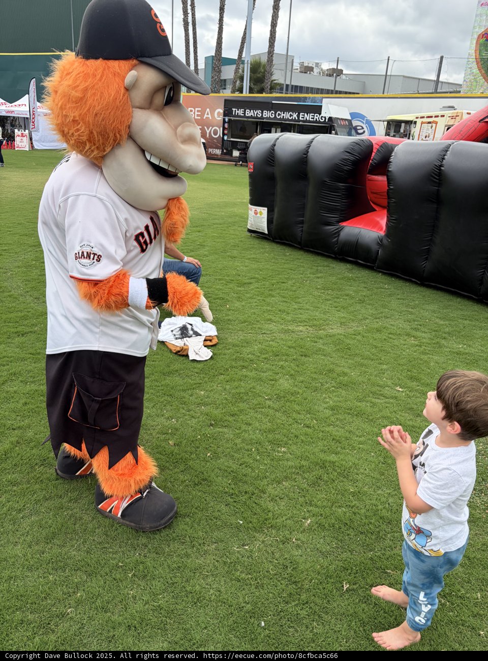 Playful Encounters at Excite Ballpark