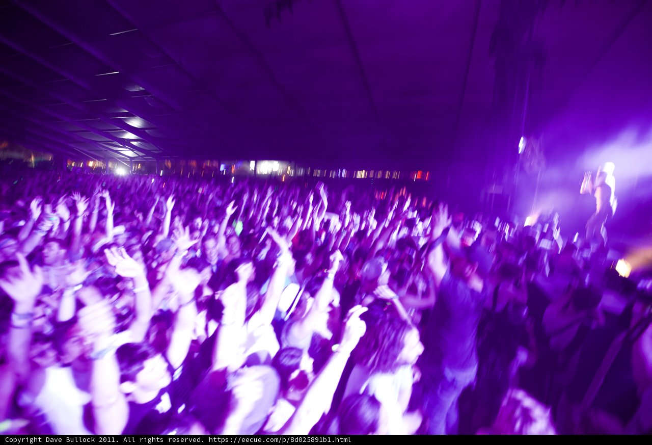 Purple Haze at the Urban Nightclub
