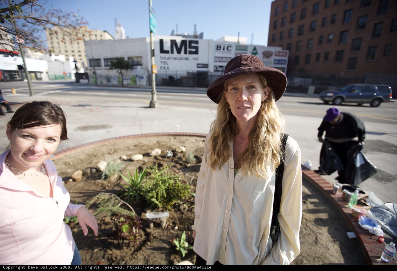 Guerrilla Gardeners Transform Urban Street Corner
