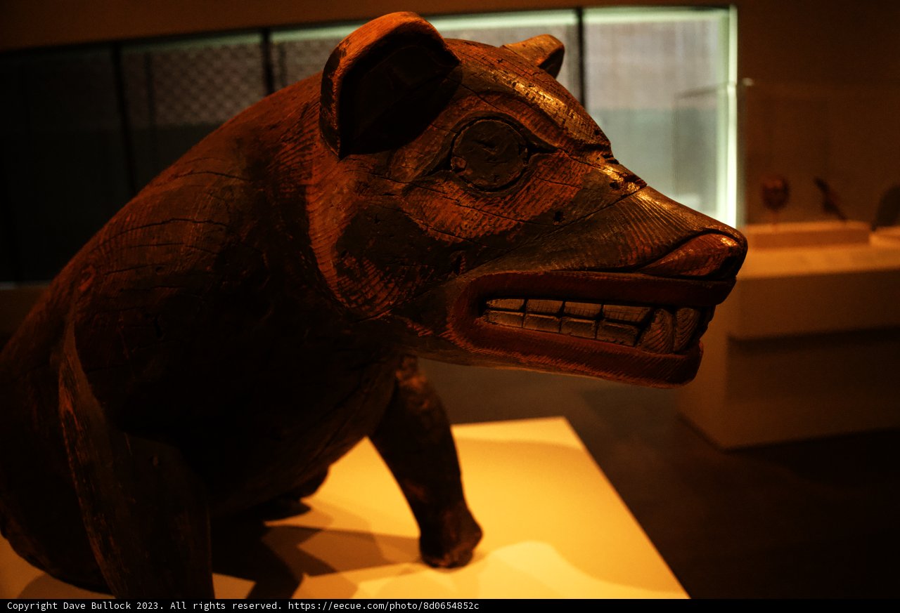 The Wooden Whimsy: A Pig Not Squealing