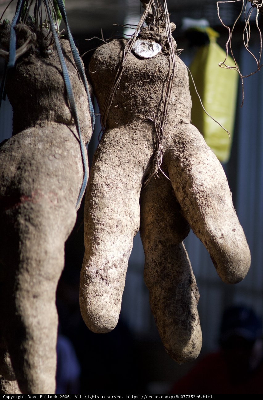 Hanging Potatoes