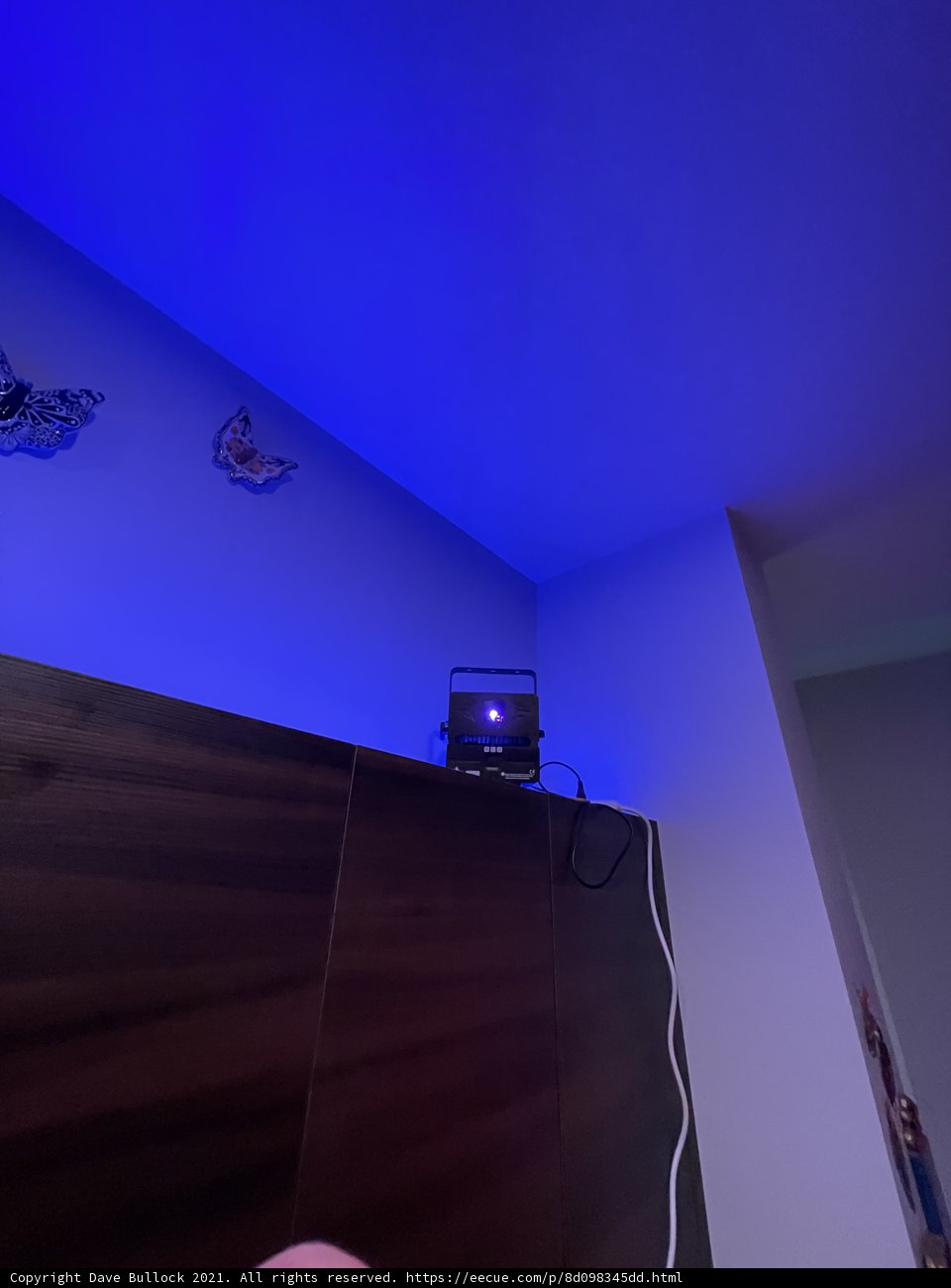 Blue Light Ambiance