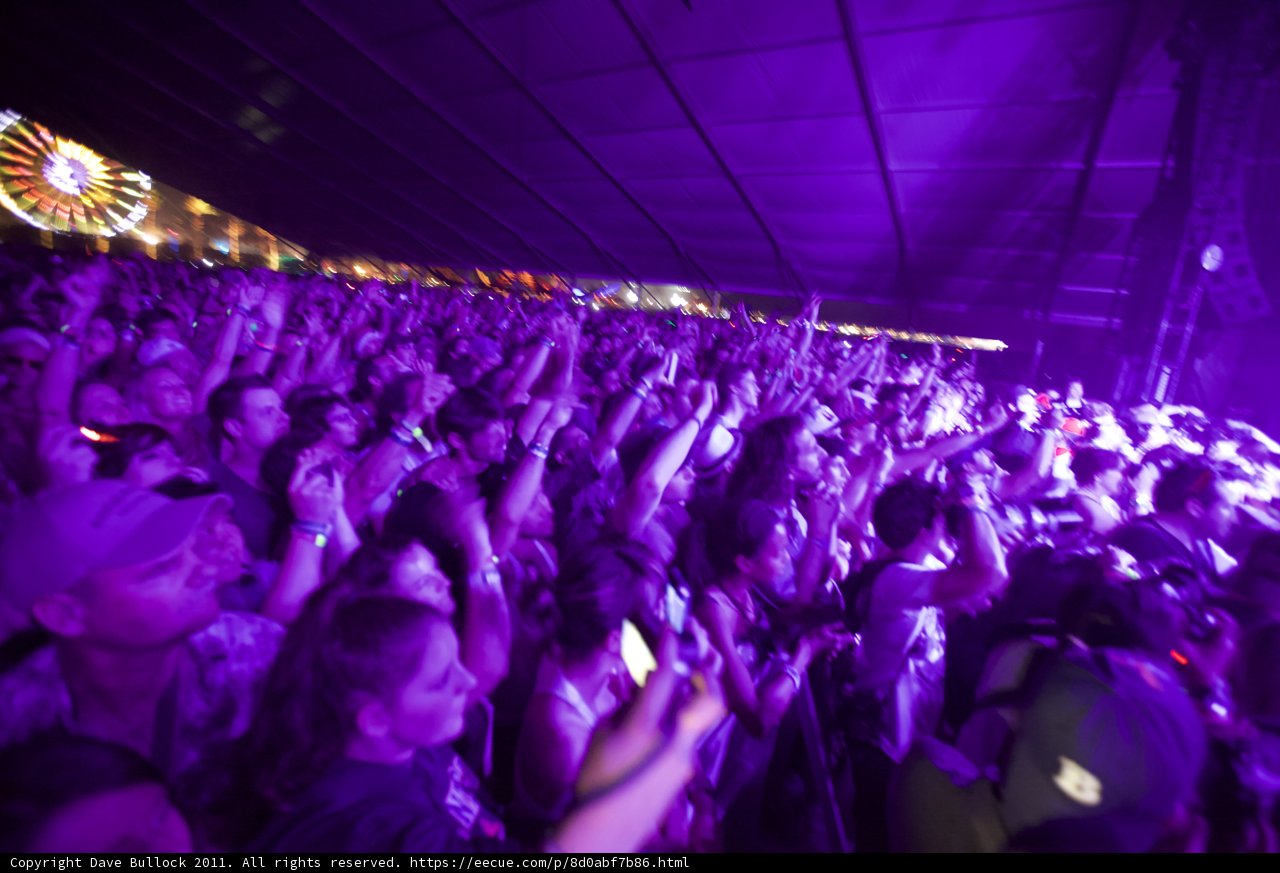 Purple Haze