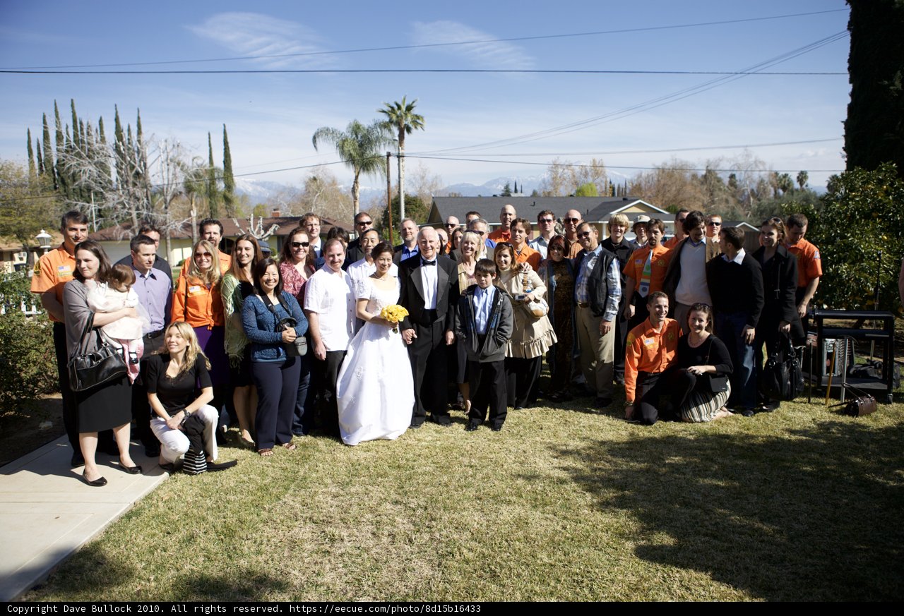 A Picture Perfect Wedding