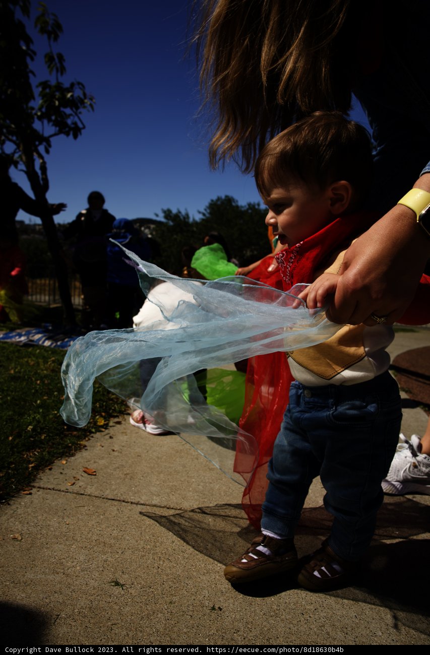 Wesley's First Birthday: Soaring High!