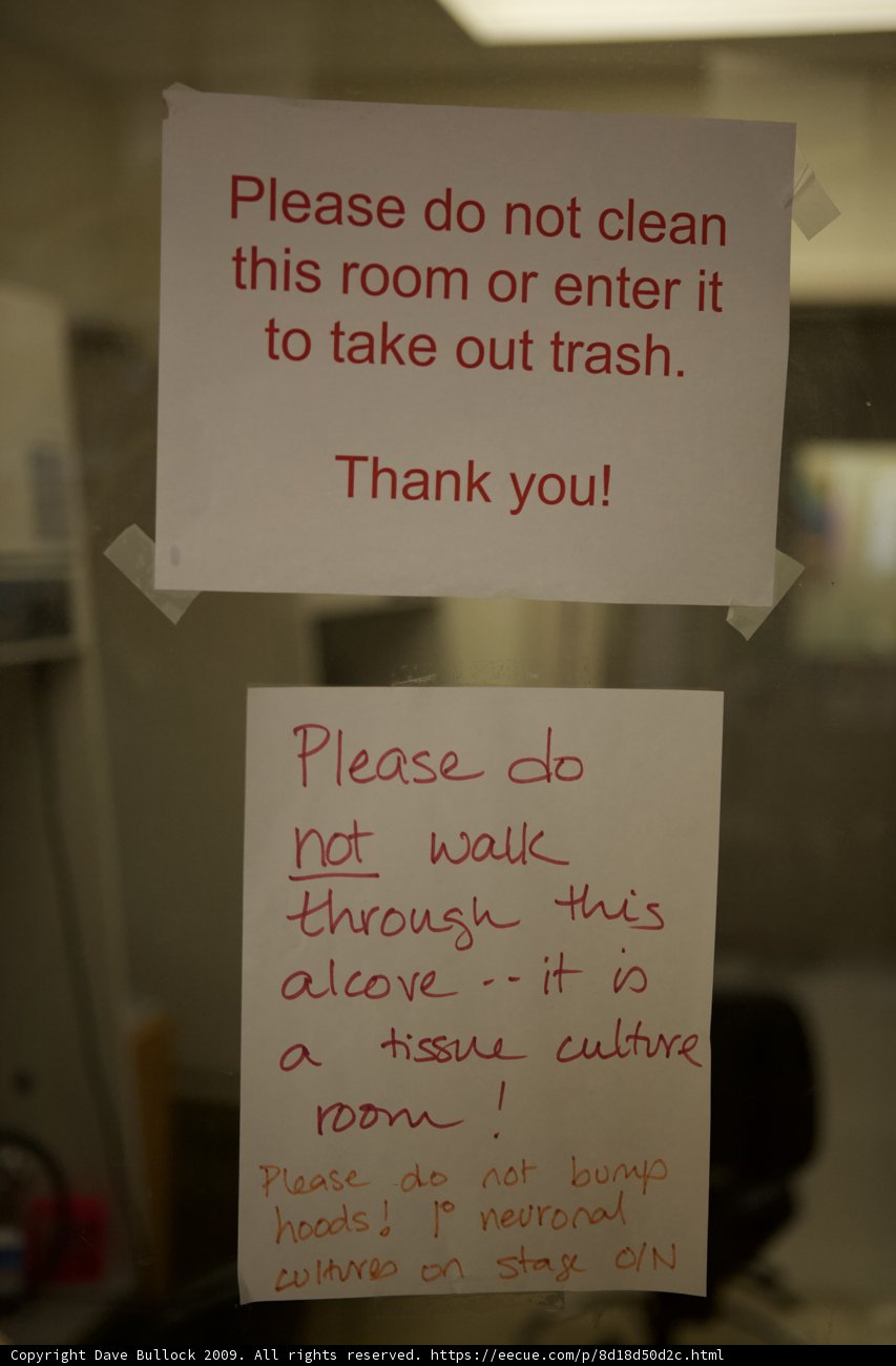 Do Not Disturb