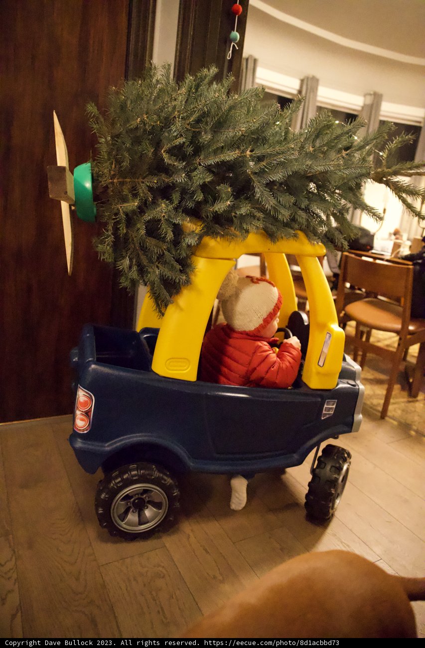 Wesley's Mini Holiday Voyage