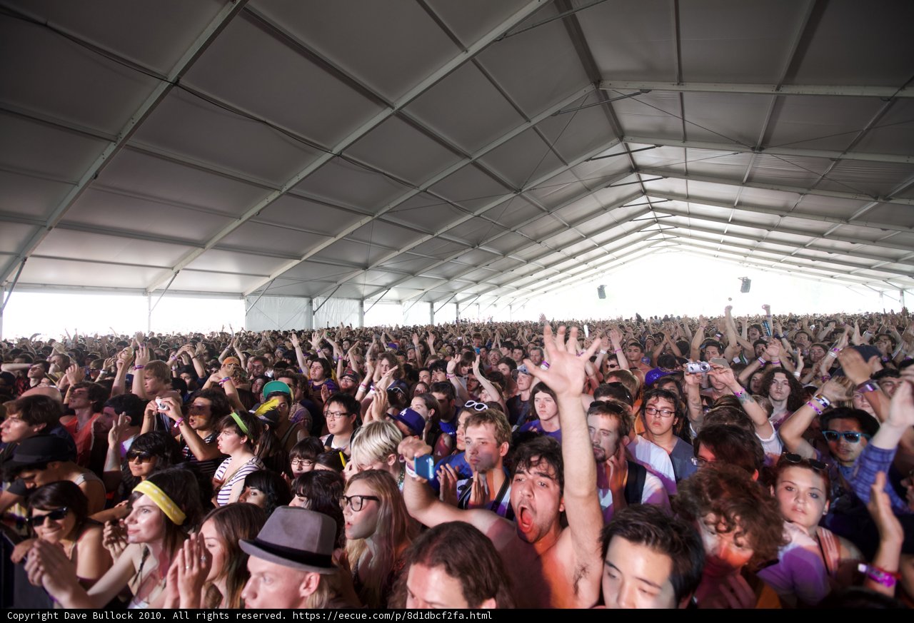 Coachella Crowd Goes Wild