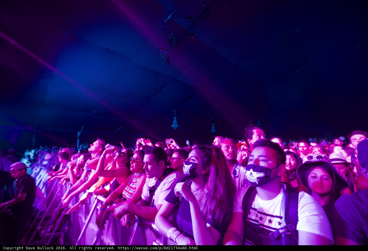 Purple Haze