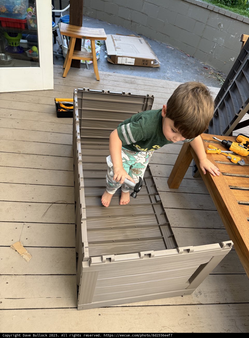 Little Builder's Big Project
