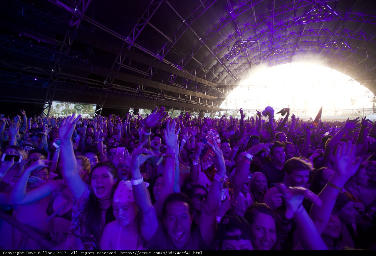 Electric Crowd at Coachella 2017