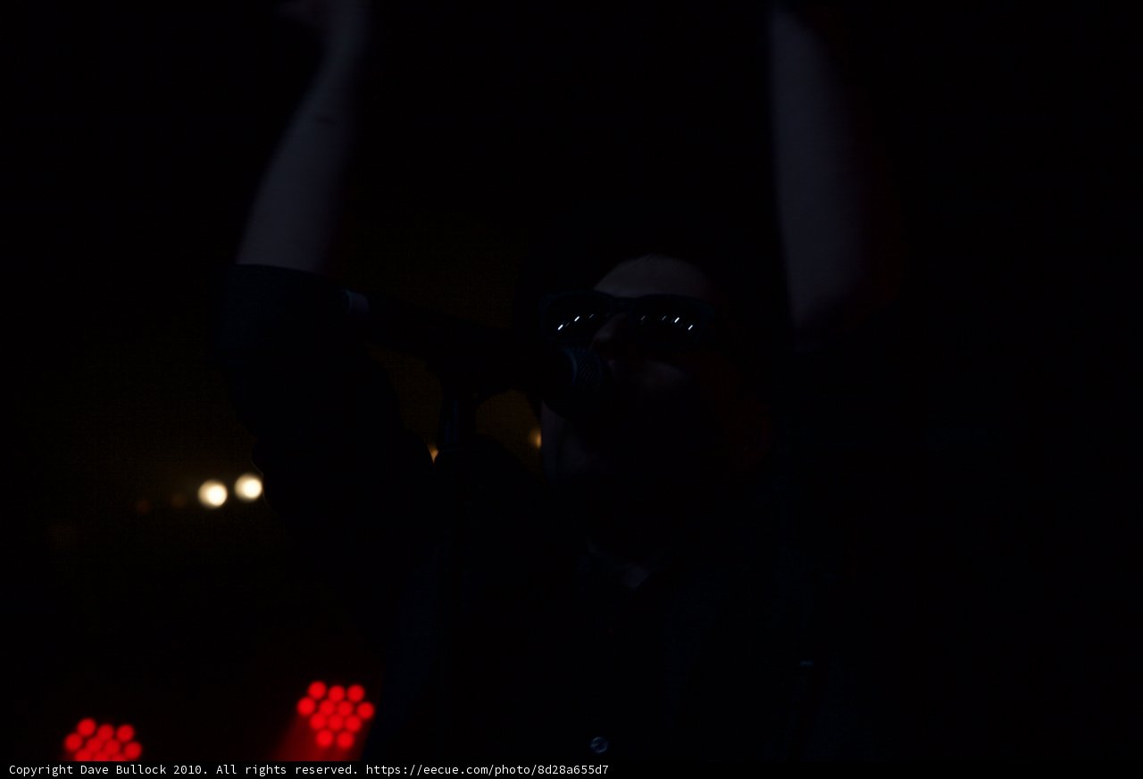 Serenading the Crowd