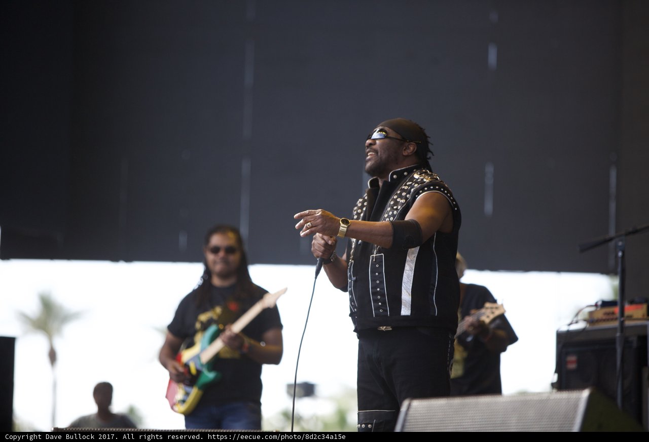 Bunny Rugs Rocks Coachella Stage
