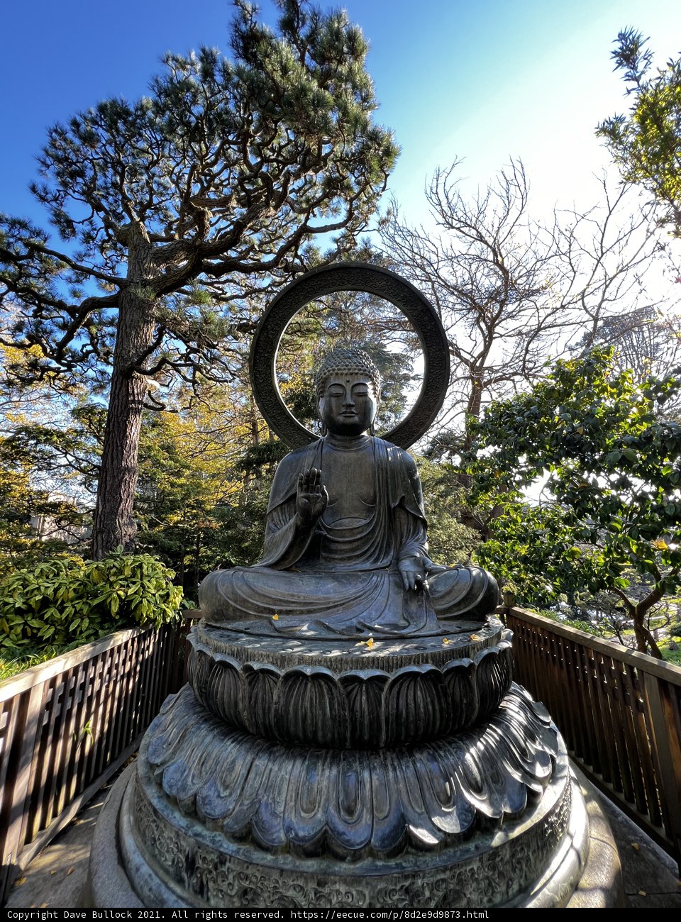 Serenity at the Japanese Tea Garden