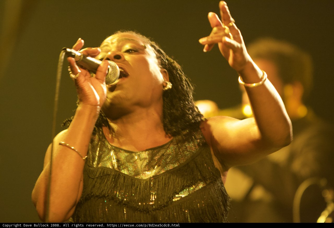 Black Dress Diva Takes Coachella by Storm