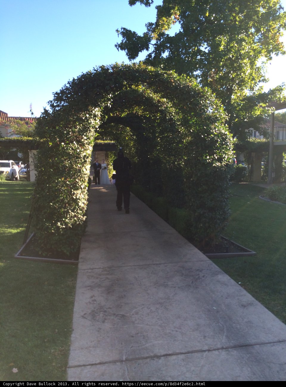 A Peaceful Walk in Arbour Garden