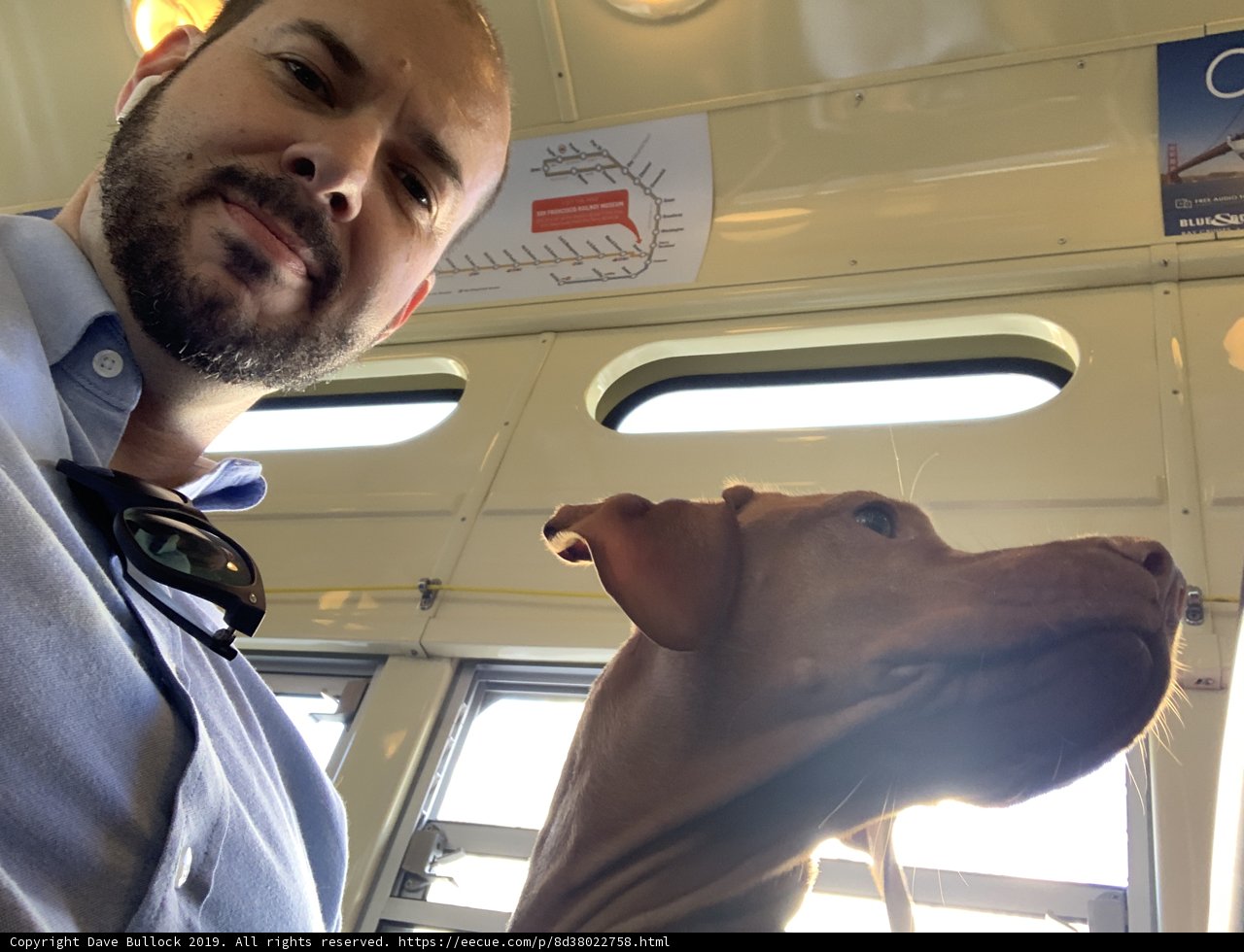 Man and his Furry Companion on a Bus Ride