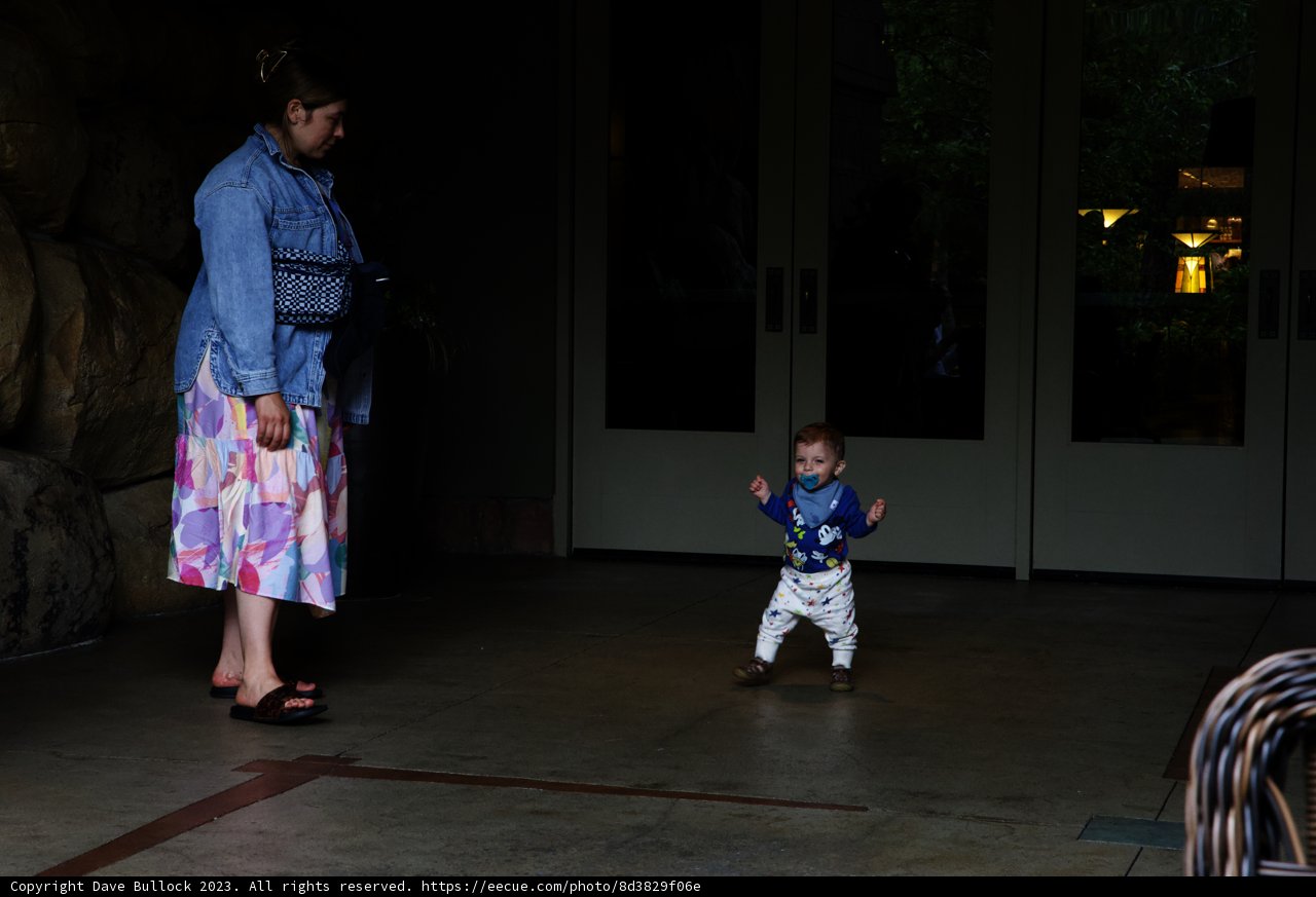 Magical Moments at Disneyland