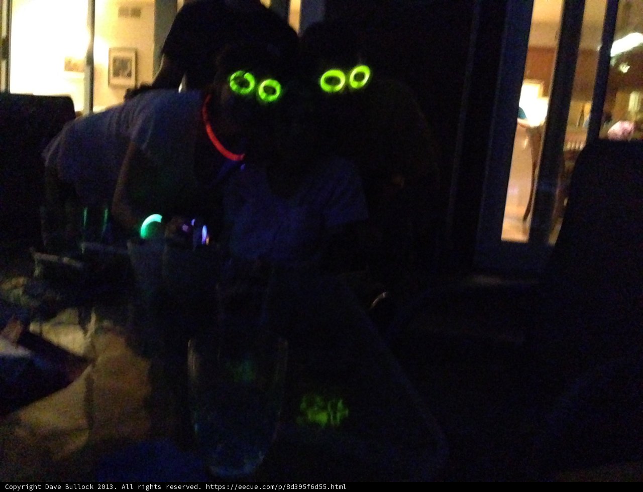 Neon Nightlife