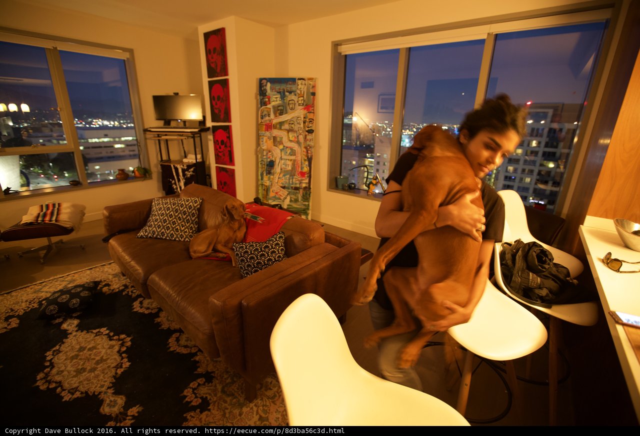 Loving Moments in the Living Room