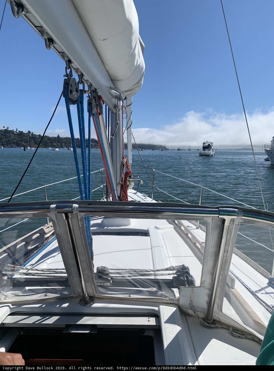 Serene Sailboat on Richardson Bay