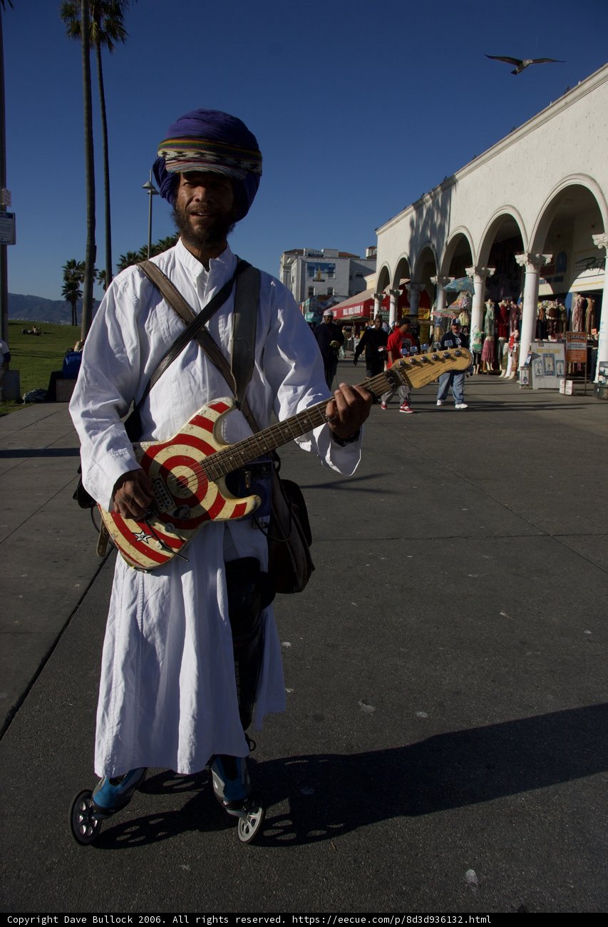 Strumming in the Sunshine