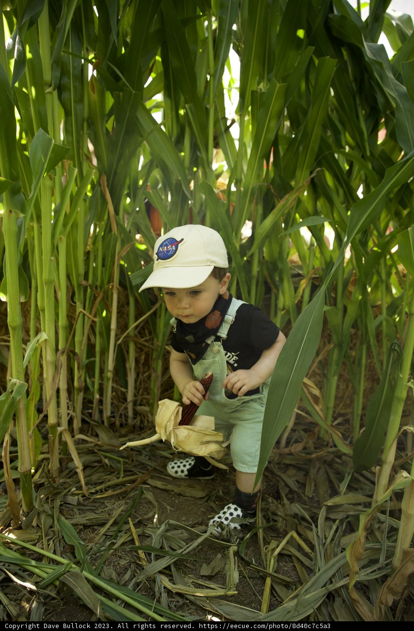 Wesley's First Farm Adventure