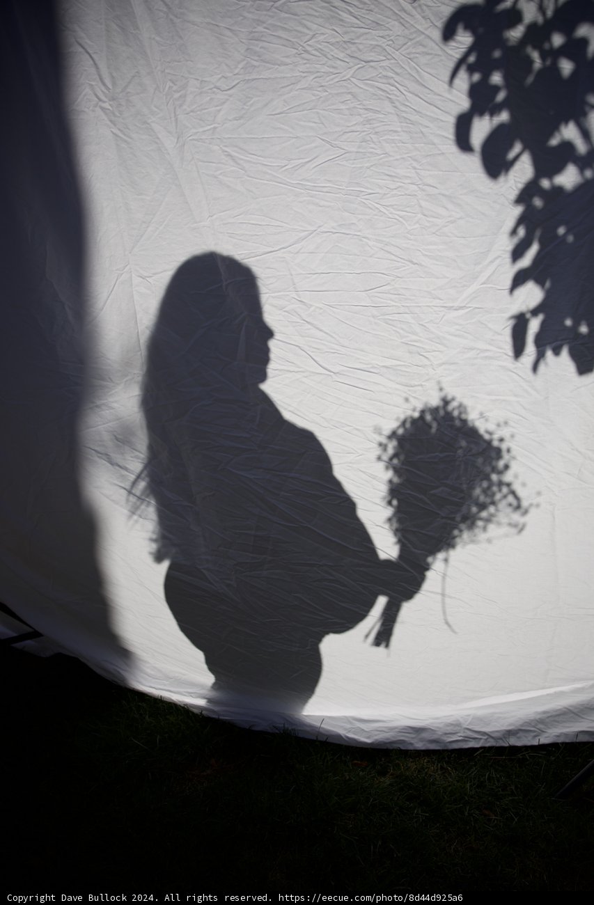 Silhouette of New Beginnings