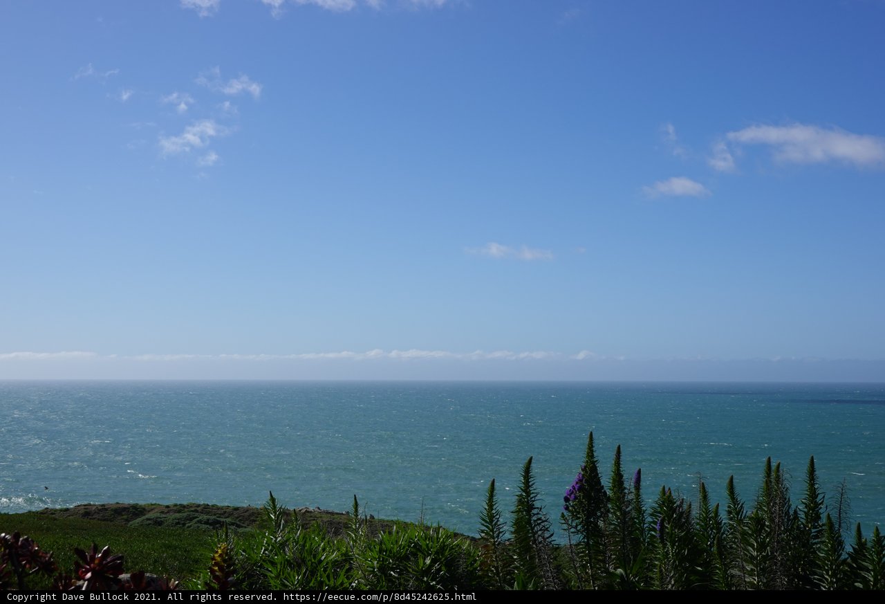 Serene Ocean View