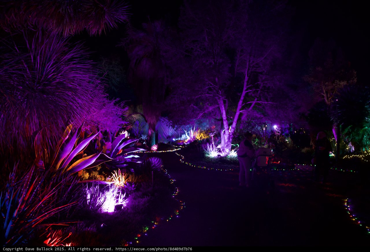 Enchanted Night at Ruth Bancroft Garden