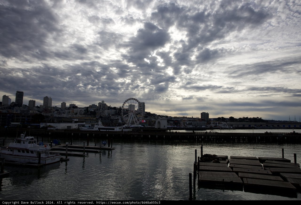 Bay Watch: Maritime Whimsy in the Metropolis