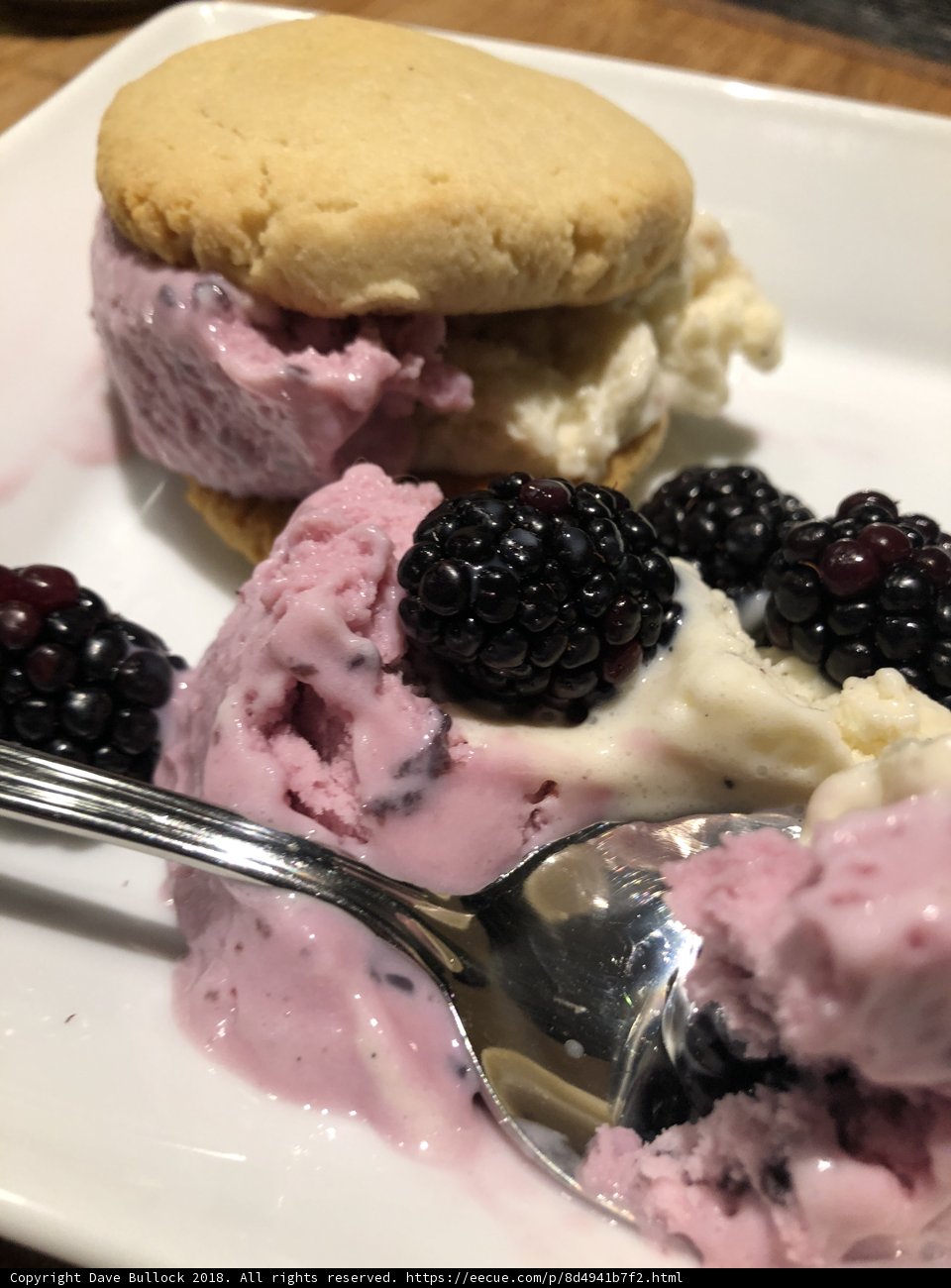 Blackberry Ice Cream Delight