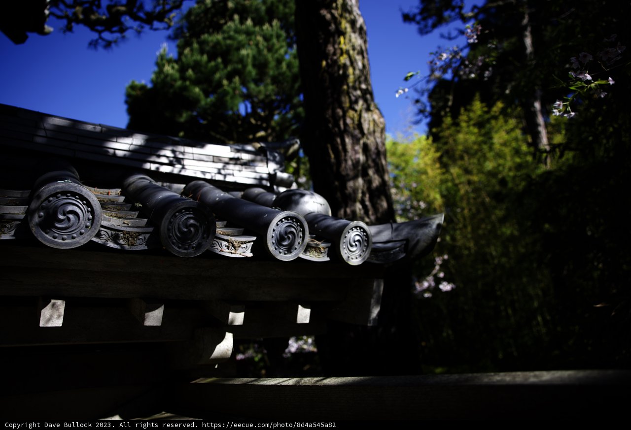Intricate Elegance in the Japanese Tea Garden