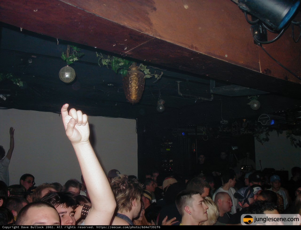 Nightclub Fever