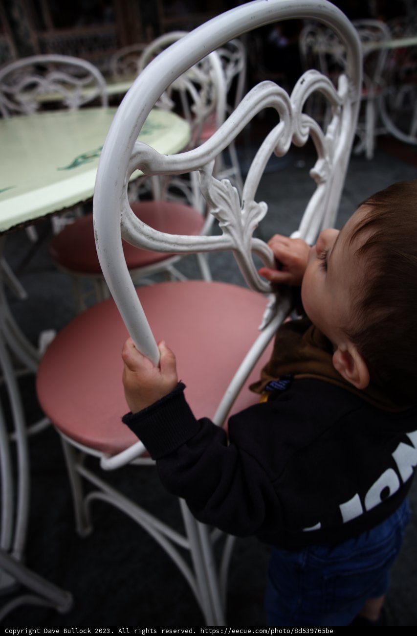 Playful Moments at Disneyland